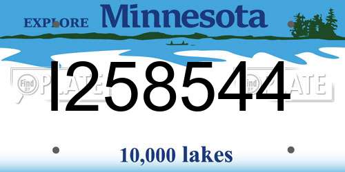 I258544 Minnesota License Plate