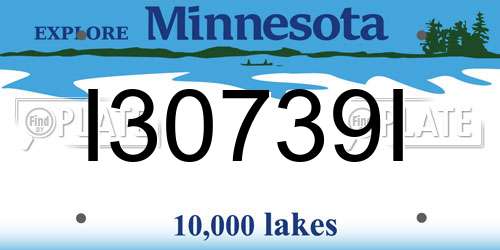 I30739I Minnesota License Plate
