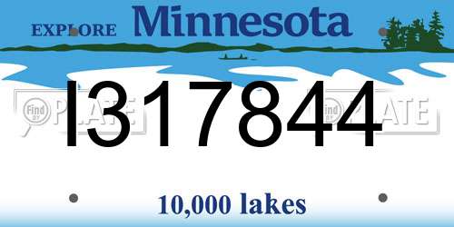 I317844 Minnesota License Plate