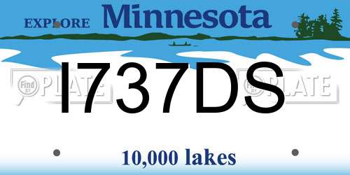 I737DS Minnesota License Plate