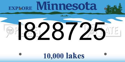 I828725 Minnesota License Plate