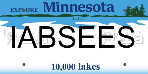 IABSEES Minnesota License Plate