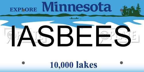IASBEES Minnesota License Plate