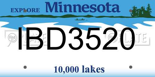 IBD3520 Minnesota License Plate