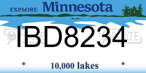 IBD8234 Minnesota License Plate