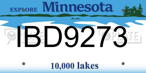 IBD9273 Minnesota License Plate