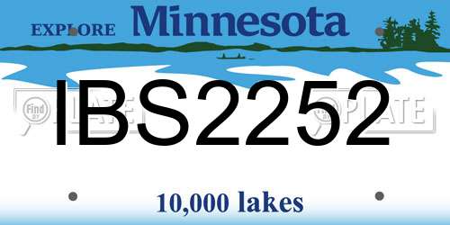 IBS2252 Minnesota License Plate