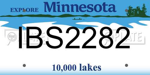 IBS2282 Minnesota License Plate