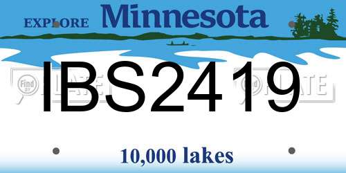 IBS2419 Minnesota License Plate