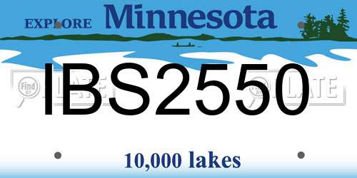 IBS2550 Minnesota License Plate