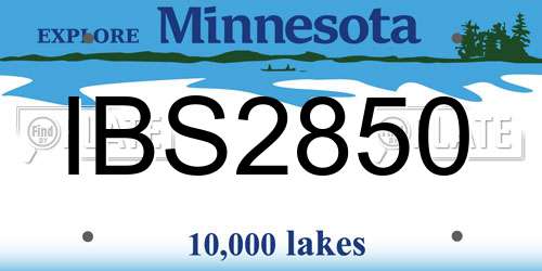 IBS2850 Minnesota License Plate