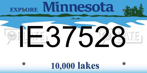 IE37528 Minnesota License Plate