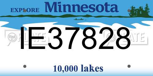 IE37828 Minnesota License Plate