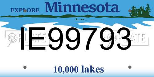 IE99793 Minnesota License Plate