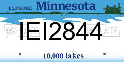 IEI2844 Minnesota License Plate