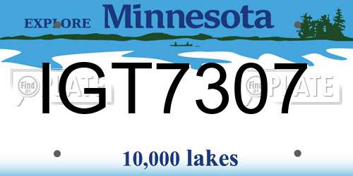 IGT7307 Minnesota License Plate