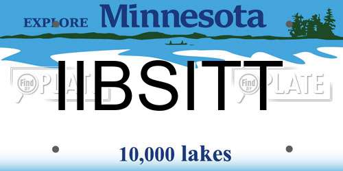 IIBSITT Minnesota License Plate