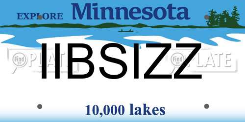 IIBSIZZ Minnesota License Plate