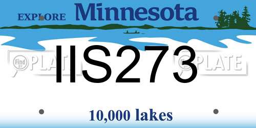 IIS273 Minnesota License Plate