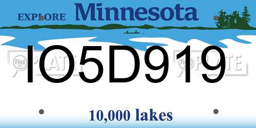 IO5D919 Minnesota License Plate