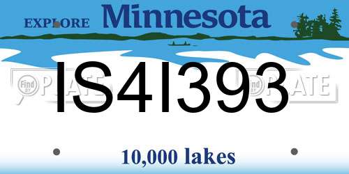 IS4I393 Minnesota License Plate