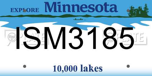 ISM3185 Minnesota License Plate