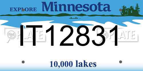 IT12831 Minnesota License Plate