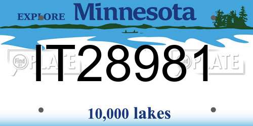 IT28981 Minnesota License Plate