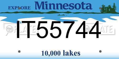 IT55744 Minnesota License Plate