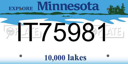 IT75981 Minnesota License Plate