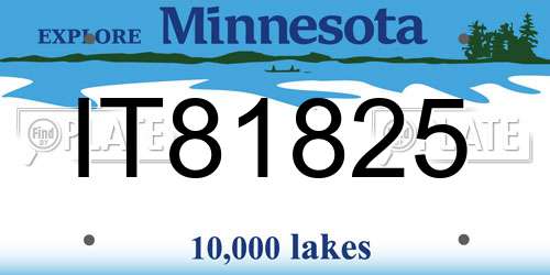 IT81825 Minnesota License Plate