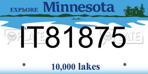 IT81875 Minnesota License Plate
