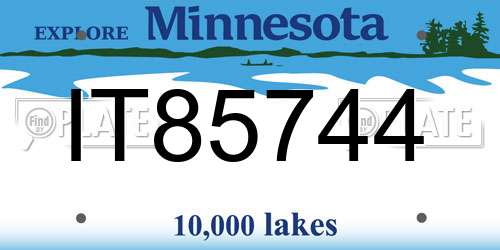 IT85744 Minnesota License Plate
