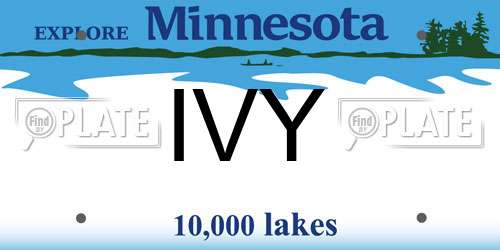 IVY Minnesota License Plate