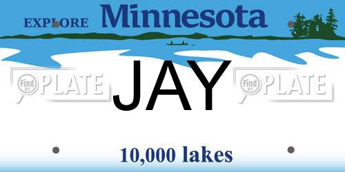 JAY Minnesota License Plate