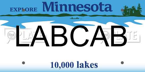 LABCAB Minnesota License Plate