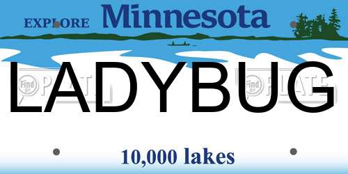 LADYBUG Minnesota License Plate