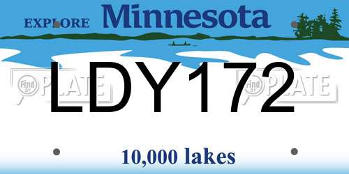 LDY172 Minnesota License Plate