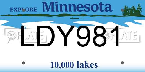 LDY981 Minnesota License Plate