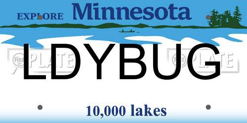 LDYBUG Minnesota License Plate