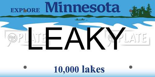 LEAKY Minnesota License Plate