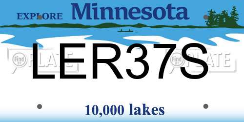 LER37S Minnesota License Plate