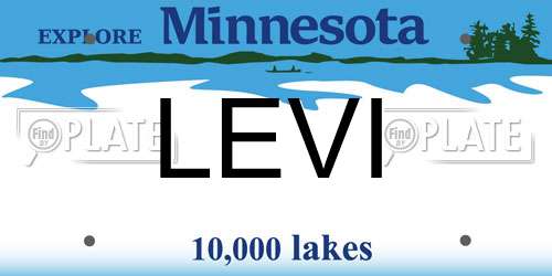 LEVI Minnesota License Plate