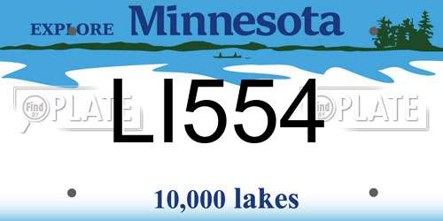 LI554 Minnesota License Plate