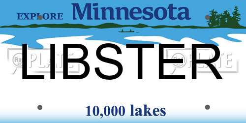 LIBSTER Minnesota License Plate