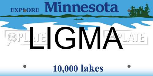 LIGMA Minnesota License Plate