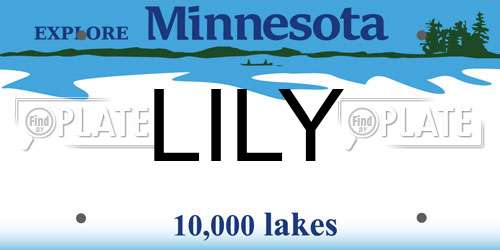LILY Minnesota License Plate