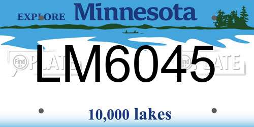 LM6045 Minnesota License Plate