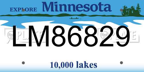 LM86829 Minnesota License Plate