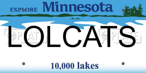 LOLCATS Minnesota License Plate